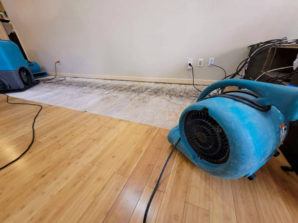 Reliable Flood Damage Restoration contractor in Bitely, MI by Hirex Water Damage