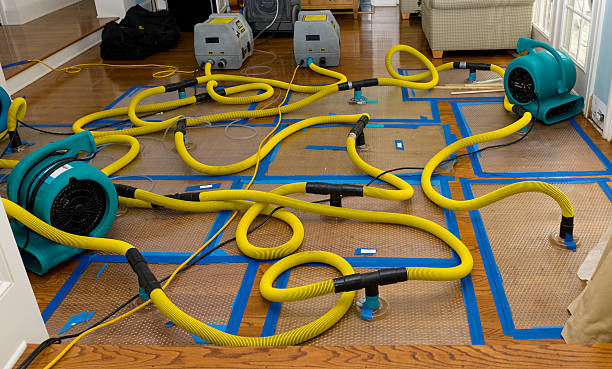 Professional Flood Damage Restoration technician working in Bitely, MI